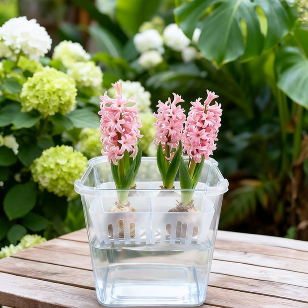 Vase Decor - チューリップやユリの球根を植えるための、透明な水耕栽培用花瓶。植え替え用のバスケット付き。通気性に優れた、屋内やオフィスで植物を育てるためのツール。